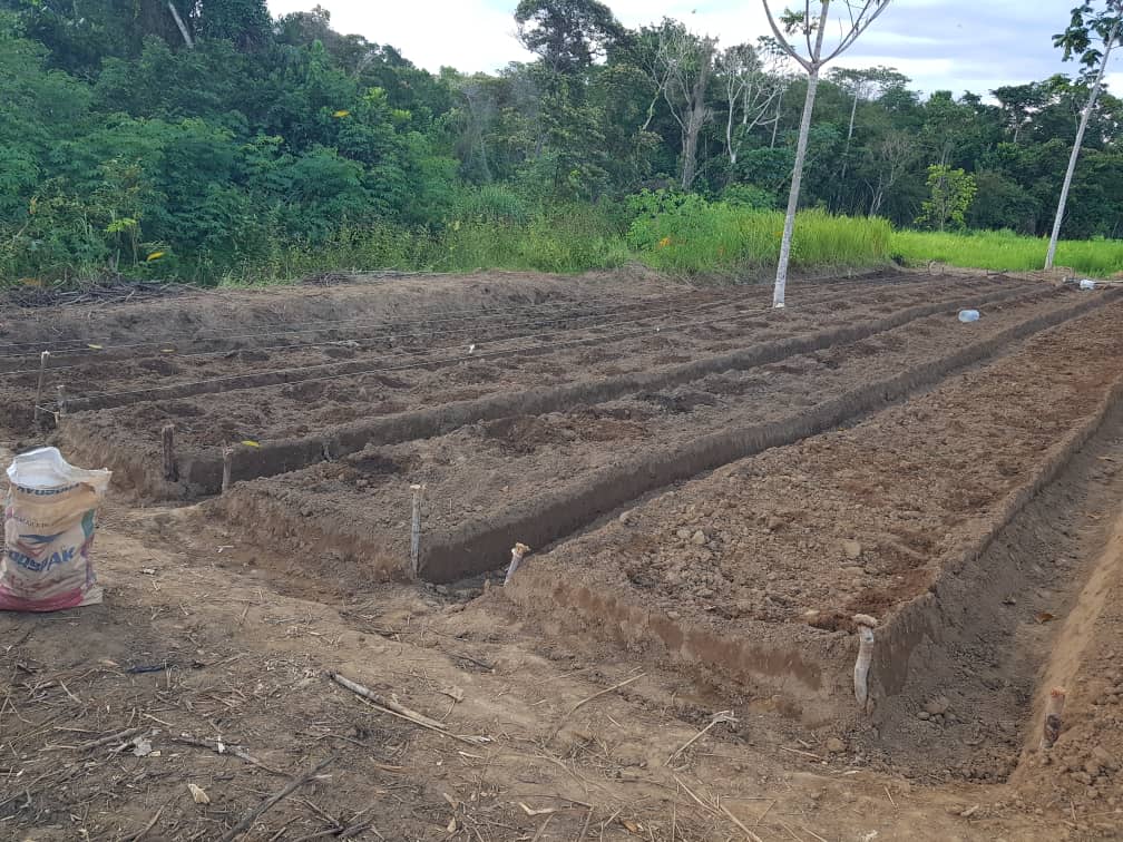 Planche sur notre Bloc N01